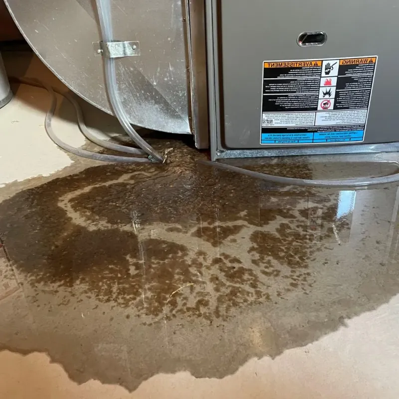Pipe Burst and Leak Restoration in Fort Defiance, AZ
